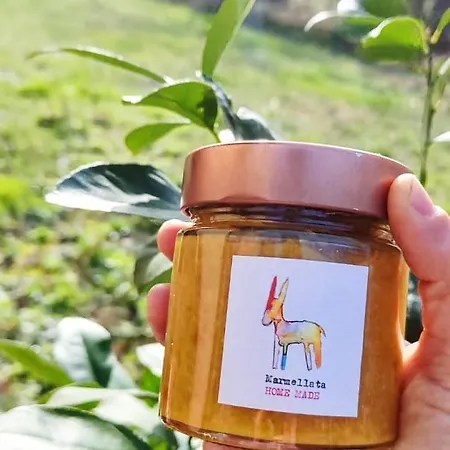 Contrada Del Raglio