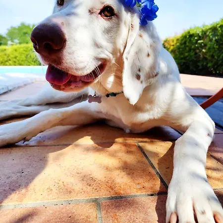 Contrada Del Raglio * Potenza Picena